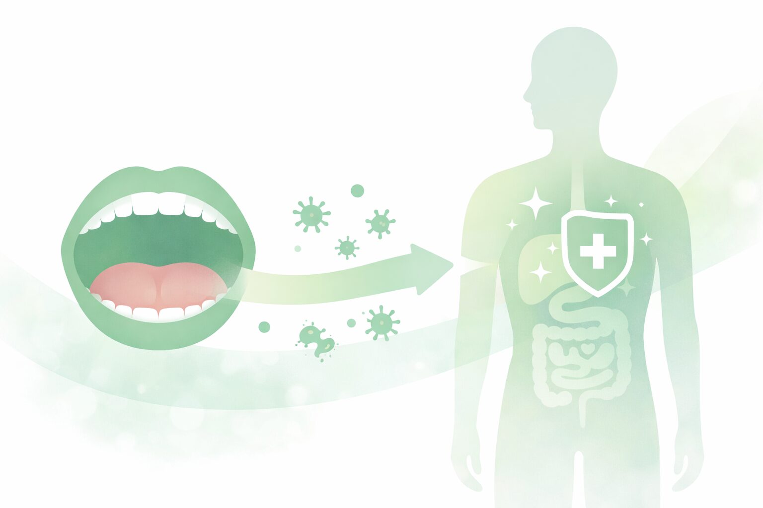 口腔内と全身の健康のつながりを表すやさしい図解イラスト