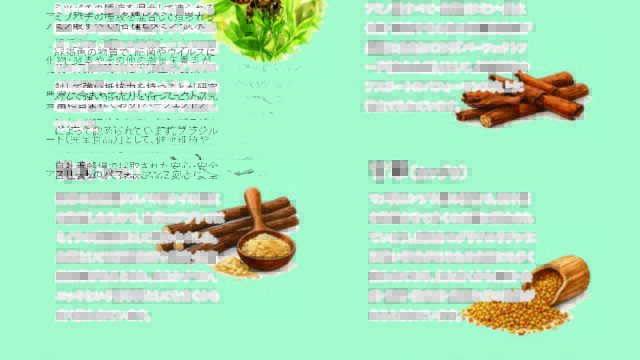 EXTRA PROPOLIS SPRAY－裏面